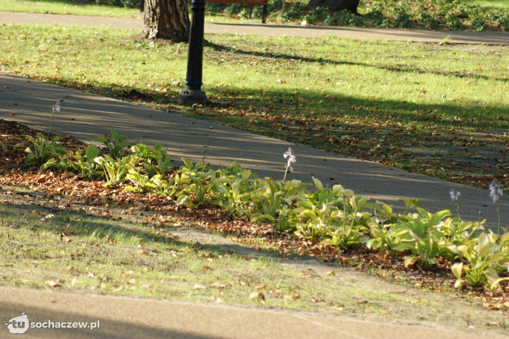 Park po rewitalizacji