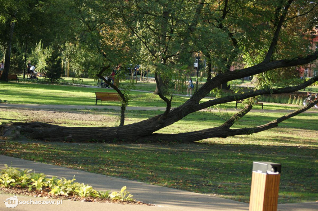 Park po rewitalizacji