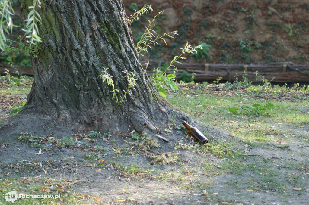 Park po rewitalizacji