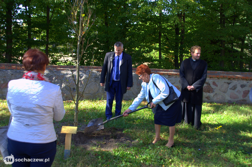 Dzieje Mikołajewa i Białynina