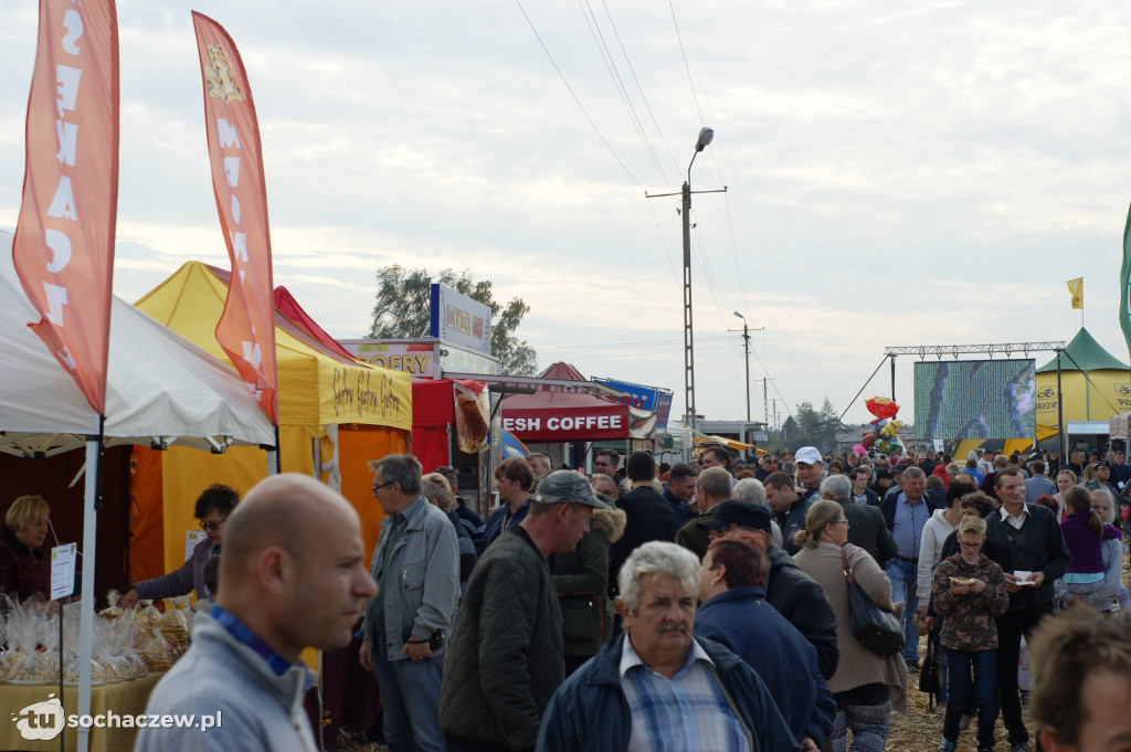 Święto kukurydzy w Skrzelewie