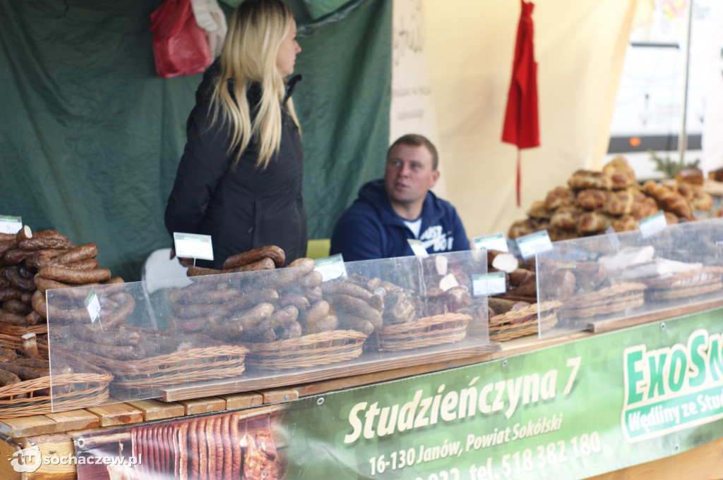 Święto kukurydzy w Skrzelewie