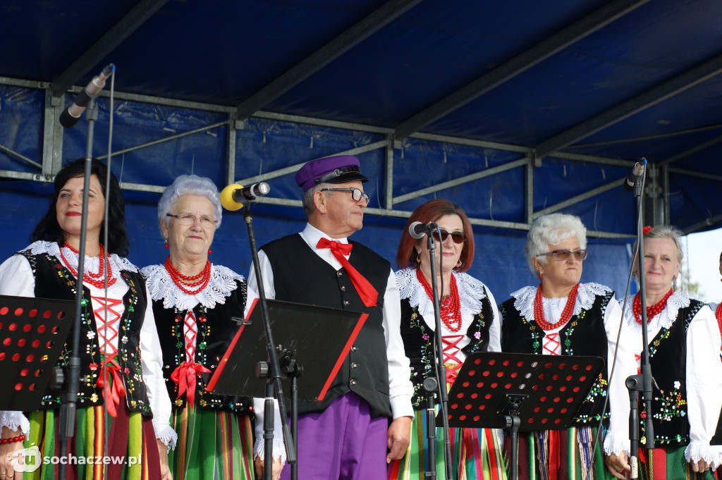 Święto kukurydzy w Skrzelewie