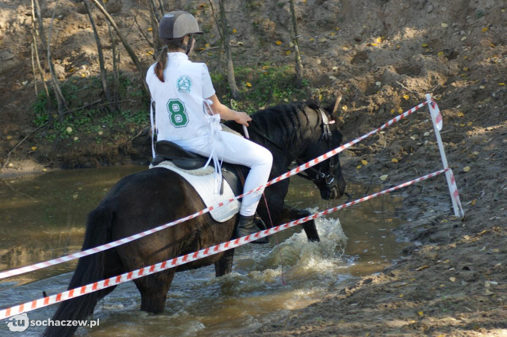 Zawody jeździeckie w Bronisławach k. Erminowa