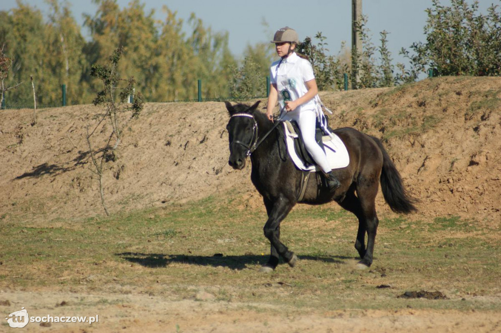 Zawody jeździeckie w Bronisławach k. Erminowa