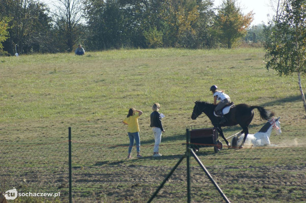 Zawody jeździeckie w Bronisławach k. Erminowa