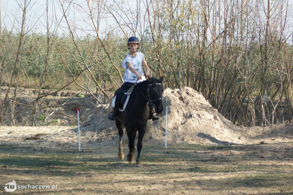 Zawody jeździeckie w Bronisławach k. Erminowa