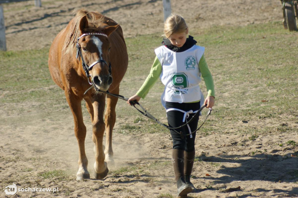 Zawody jeździeckie w Bronisławach k. Erminowa