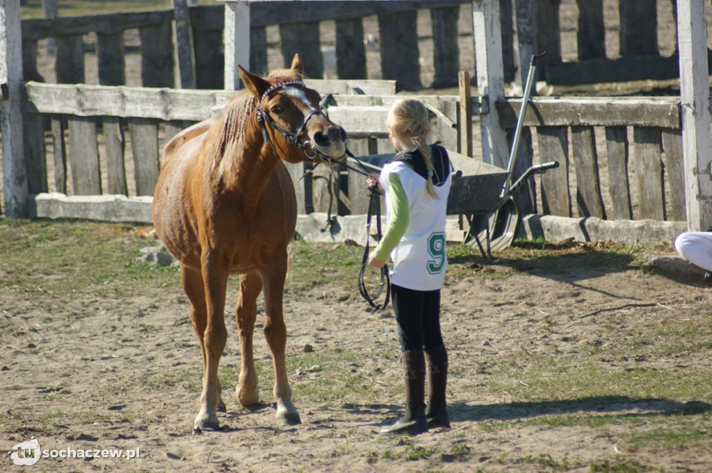 Zawody jeździeckie w Bronisławach k. Erminowa