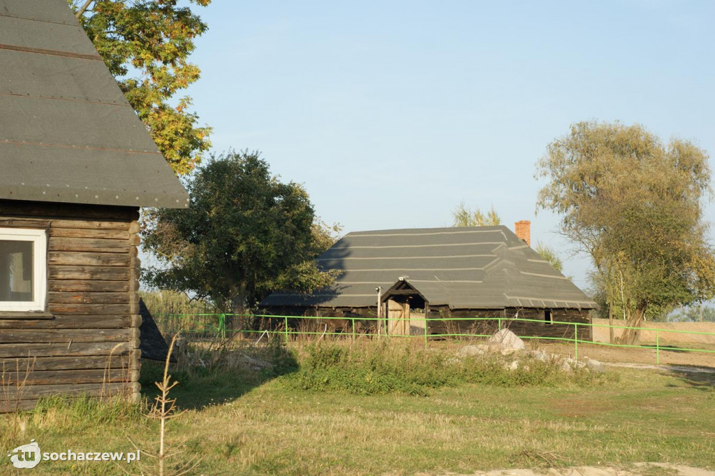 Zwierzęta z azylu w Bronisławach