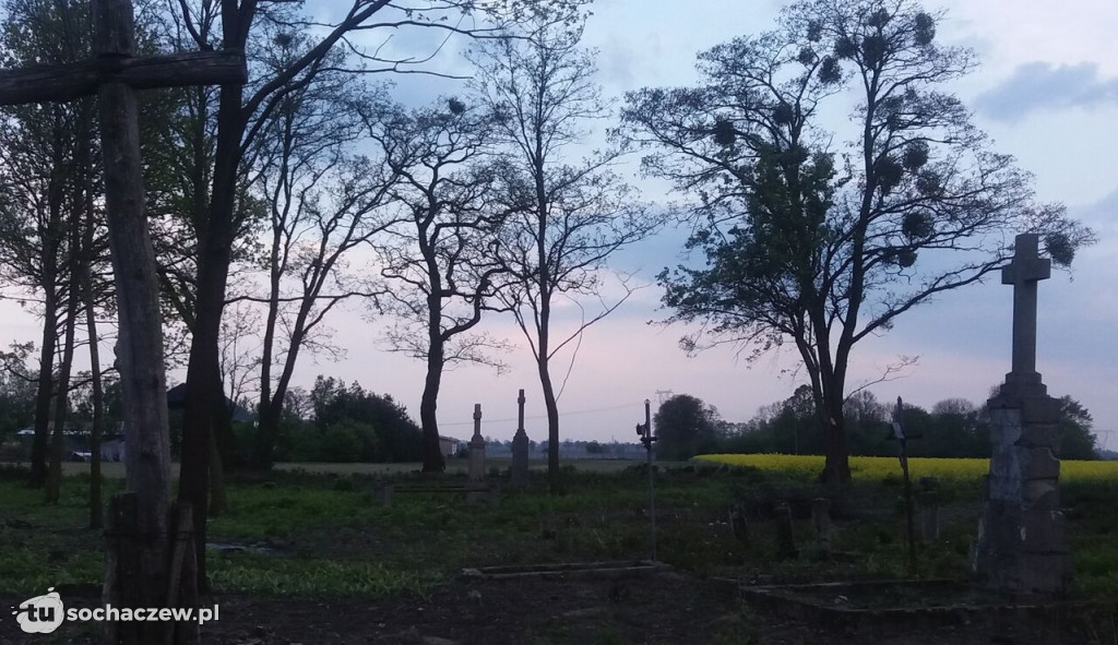 Cmentarz w Dębówce w trakcie renowacji