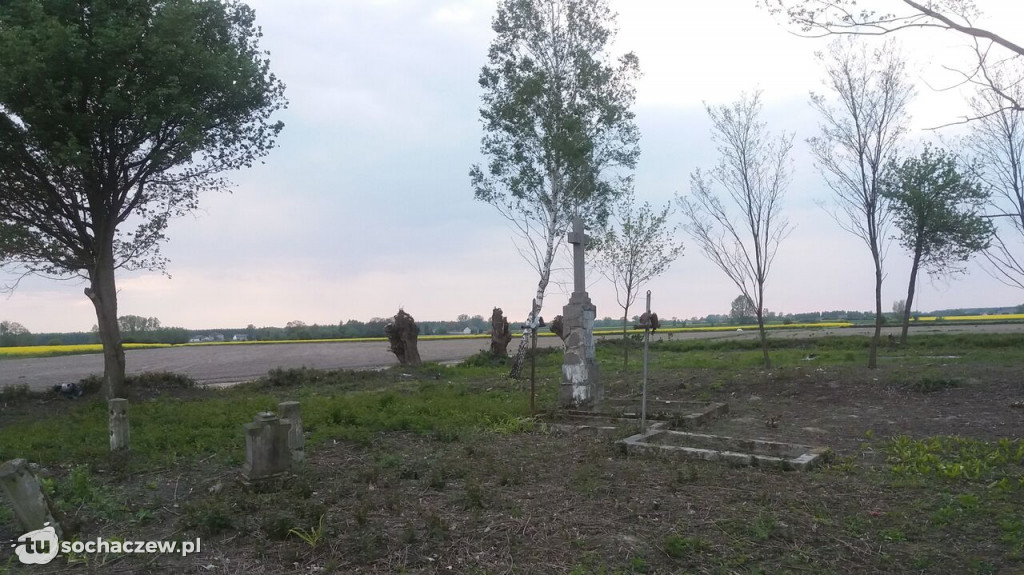 Cmentarz w Dębówce w trakcie renowacji