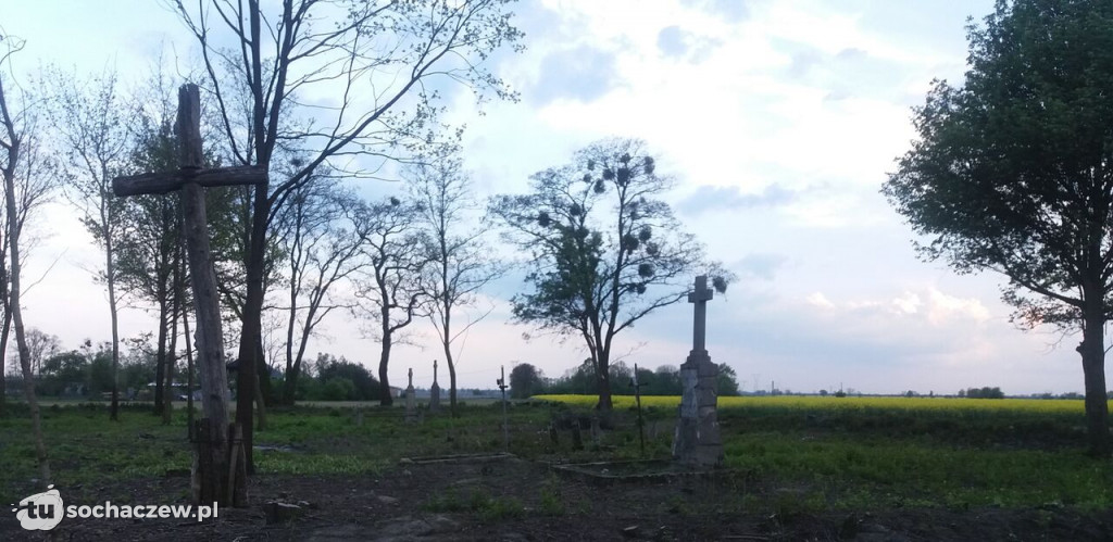 Cmentarz w Dębówce w trakcie renowacji