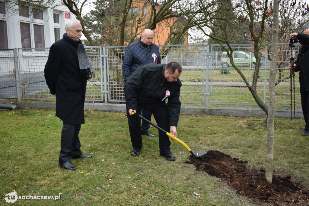 Gmina Teresin dla Niepodległej
