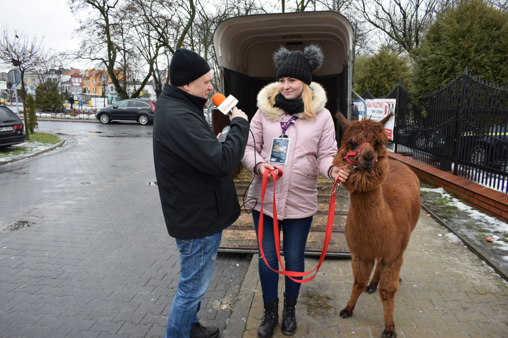 27. finał WOŚP na ulicach Sochaczewa