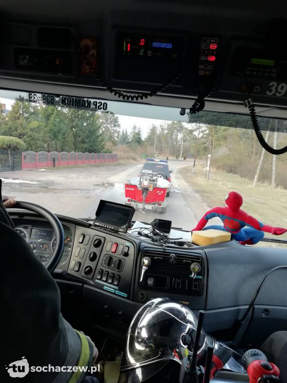Przerażony pies na wyspie. OSP Kamion w akcji