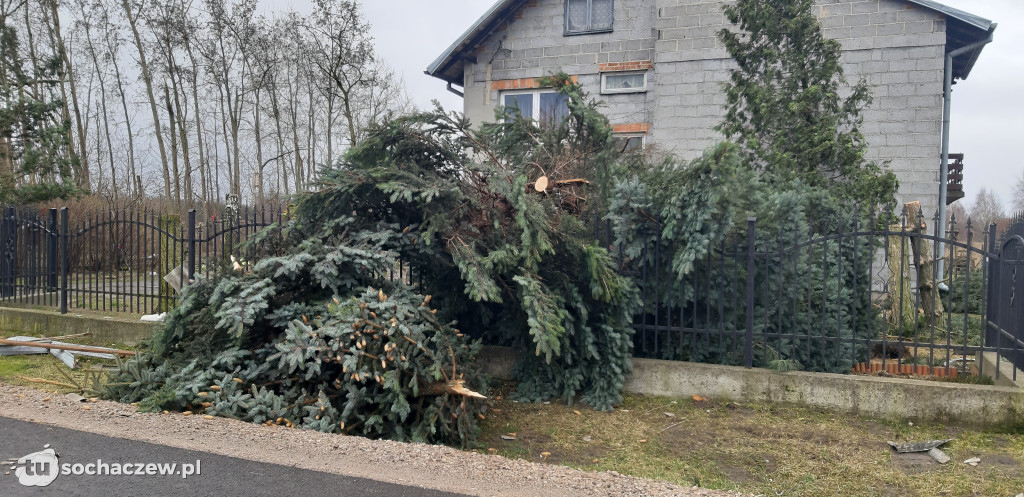 Tragiczne skutki wichury