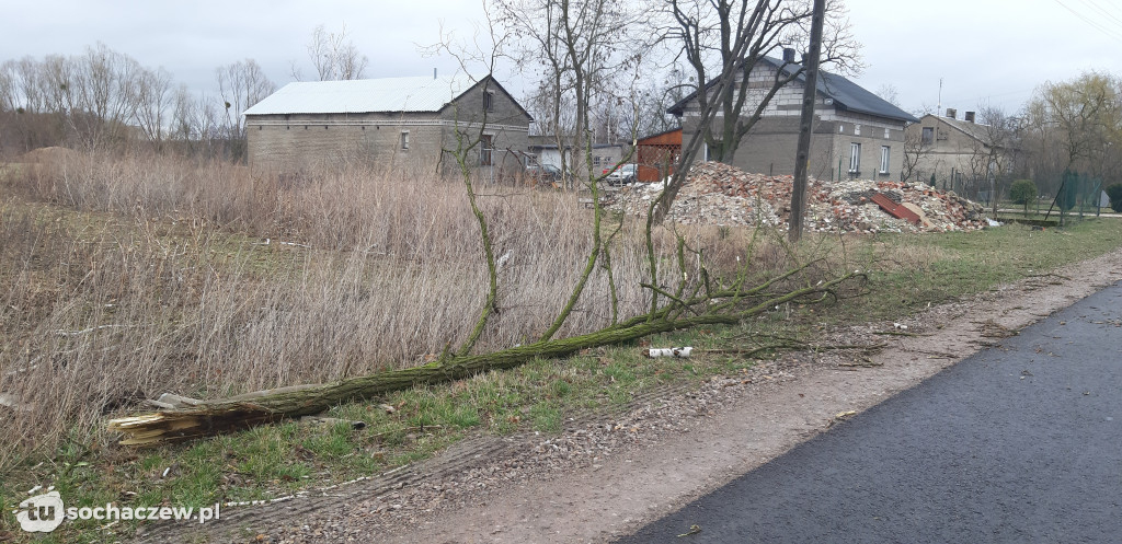 Tragiczne skutki wichury