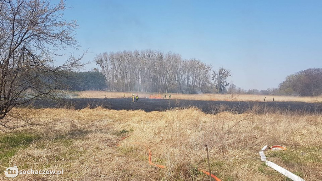 Toruńska Sochaczew. OSP Paprotnia gasi pożar