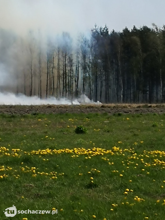 Płonie las w Dachowej