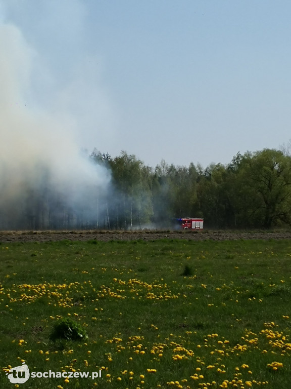 Płonie las w Dachowej