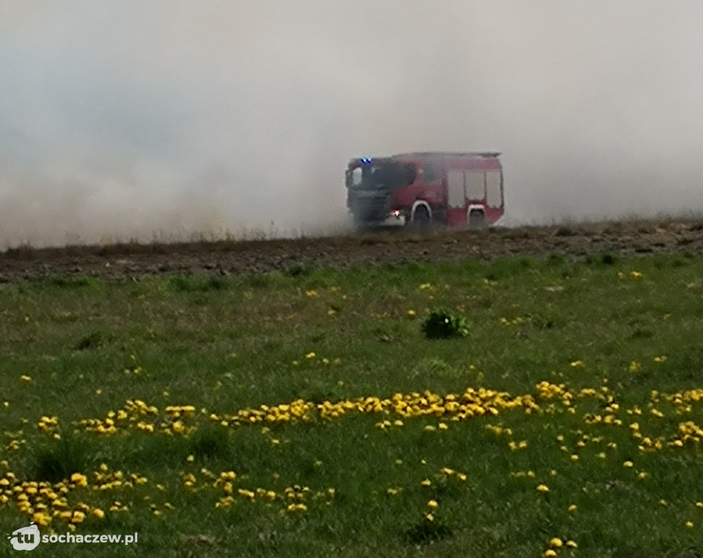 Płonie las w Dachowej