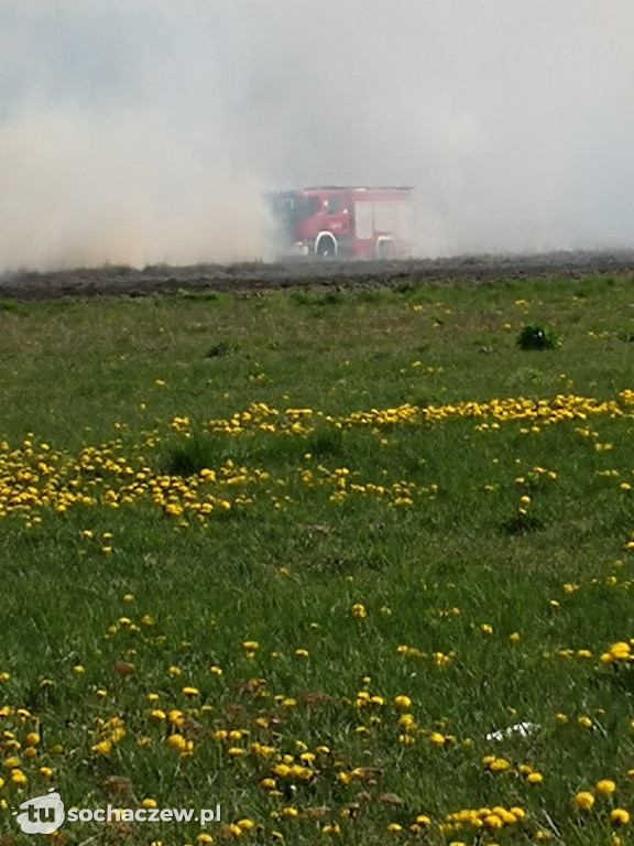 Płonie las w Dachowej