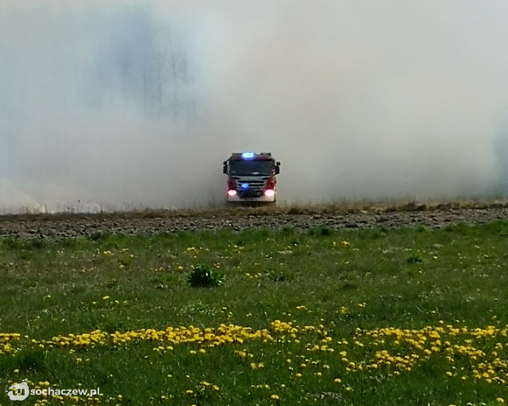 Płonie las w Dachowej