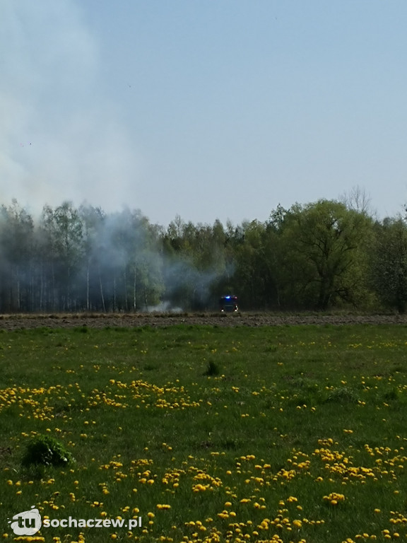 Płonie las w Dachowej