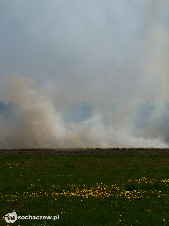 Płonie las w Dachowej