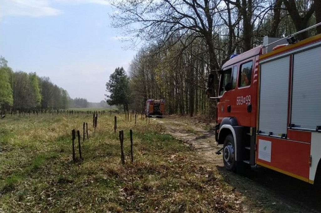 Płonie Kampinoski Park Narodowy