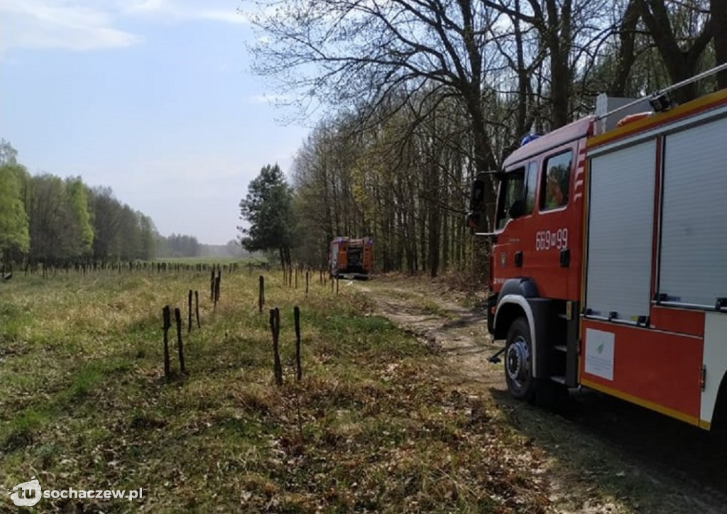 Płonie Kampinoski Park Narodowy