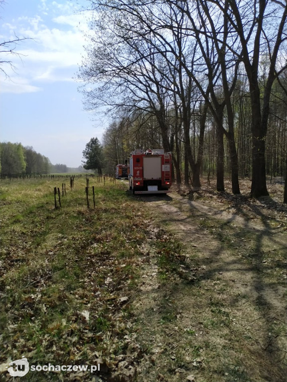 Płonie Kampinoski Park Narodowy