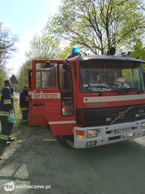 Płonie Kampinoski Park Narodowy