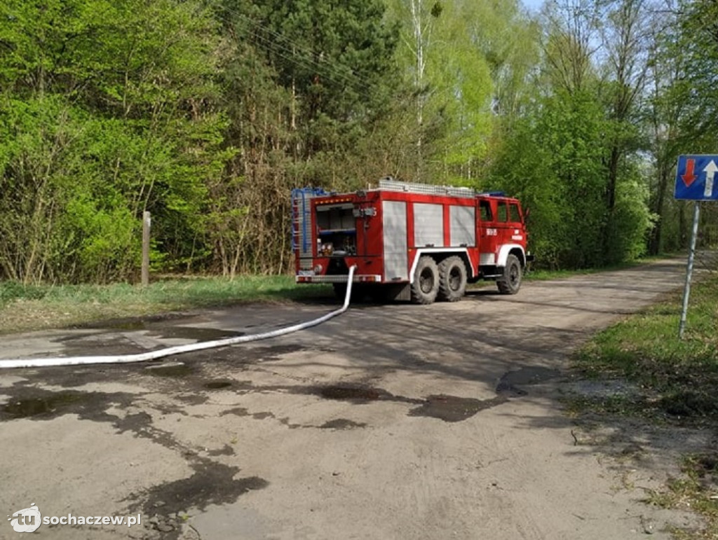 Płonie Kampinoski Park Narodowy