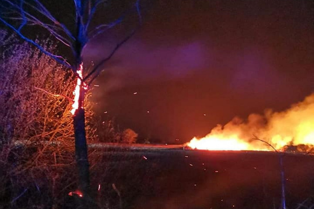 9 hektarów w ogniu w Famułkach Królewskich