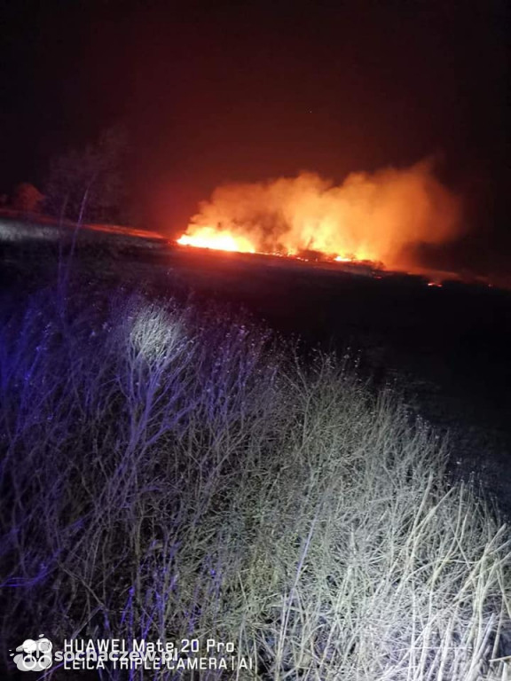 9 hektarów w ogniu w Famułkach Królewskich