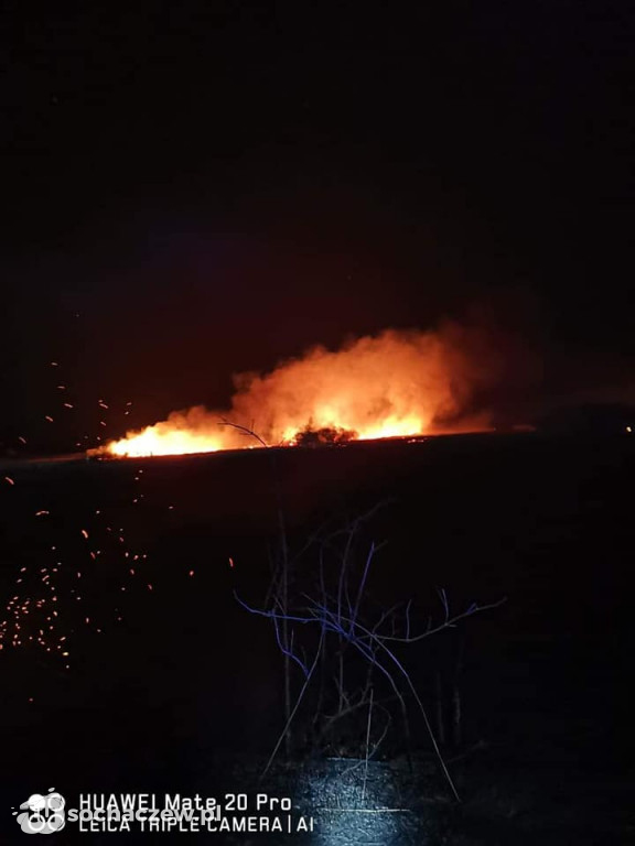 9 hektarów w ogniu w Famułkach Królewskich