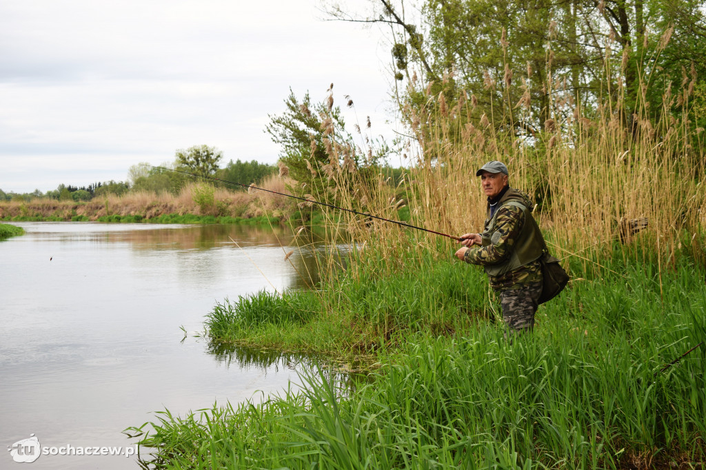 Kleń Bzury 2019