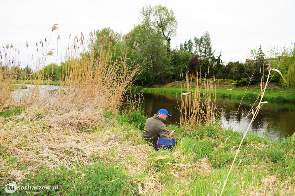 Kleń Bzury 2019