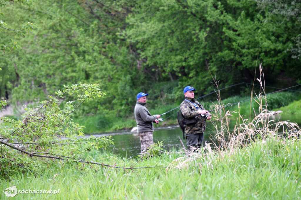 Kleń Bzury 2019