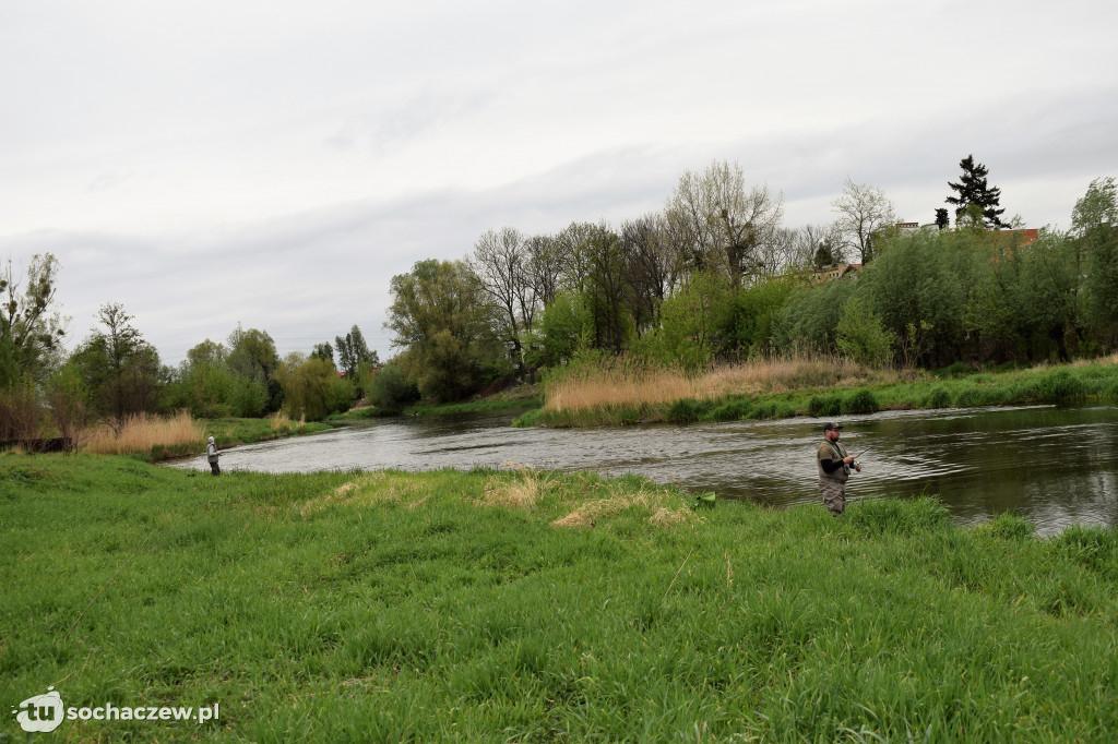 Kleń Bzury 2019