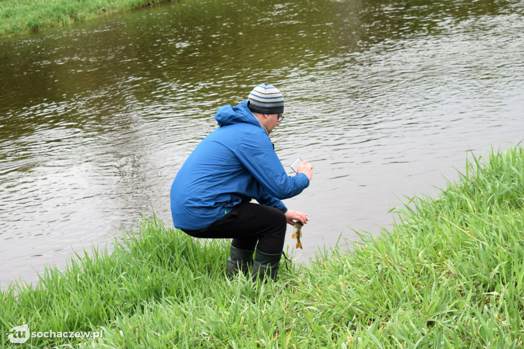 Kleń Bzury 2019