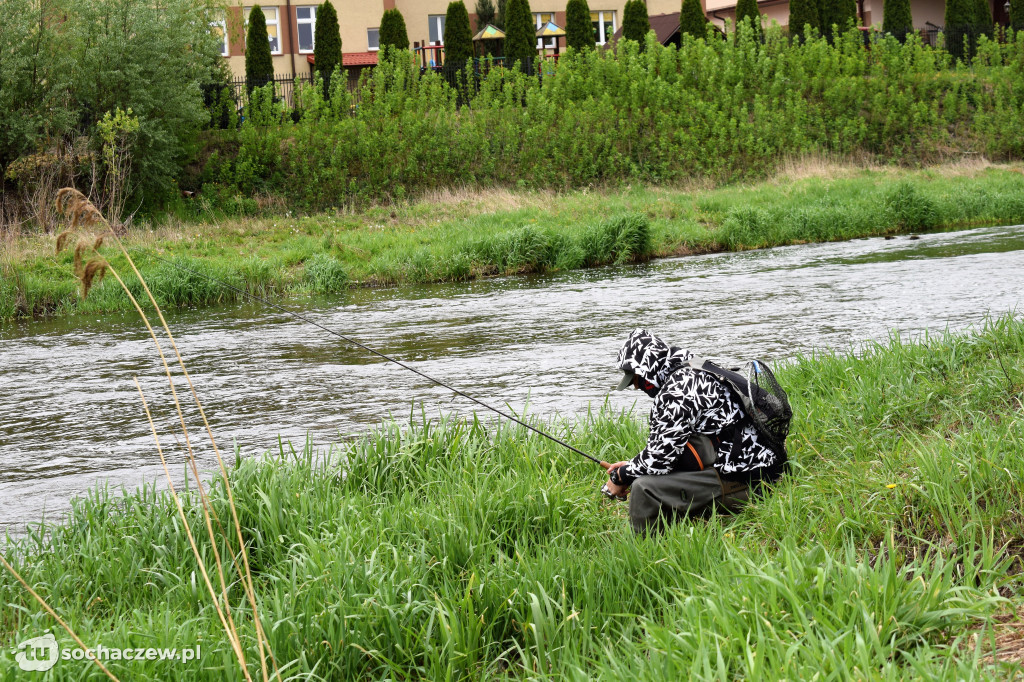 Kleń Bzury 2019