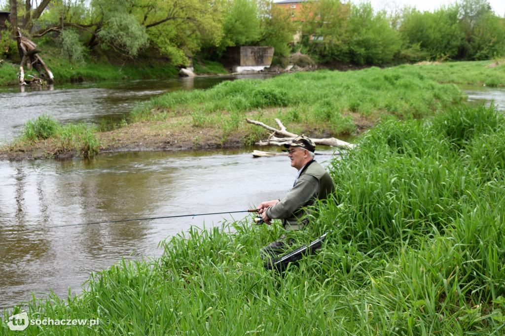 Kleń Bzury 2019