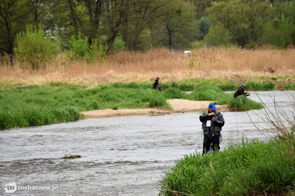 Kleń Bzury 2019