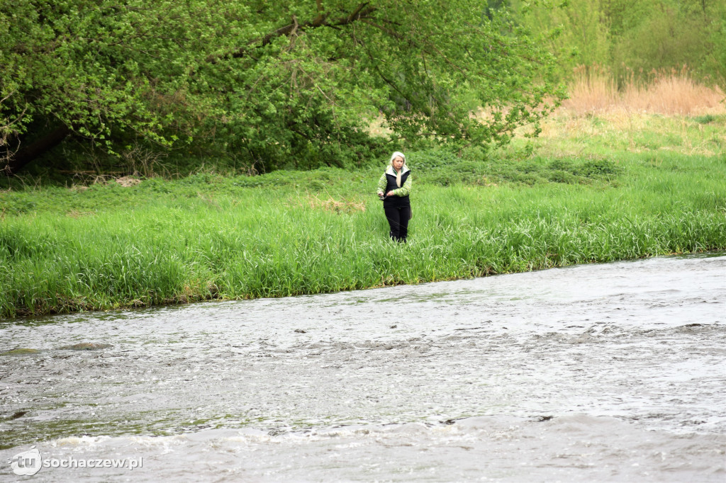 Kleń Bzury 2019