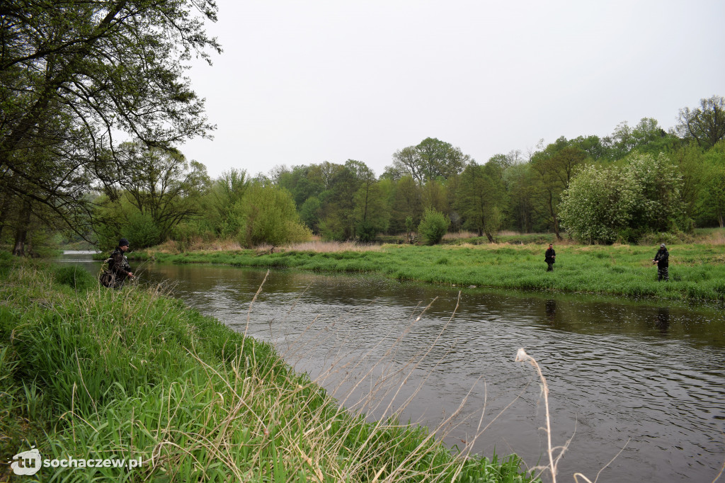 Kleń Bzury 2019