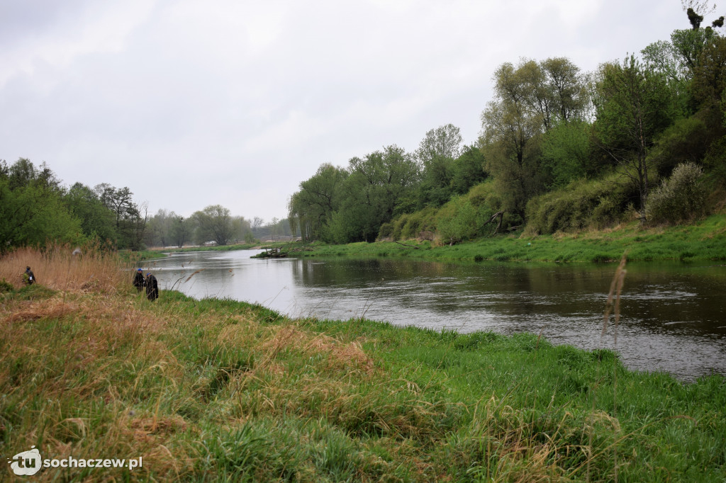 Kleń Bzury 2019
