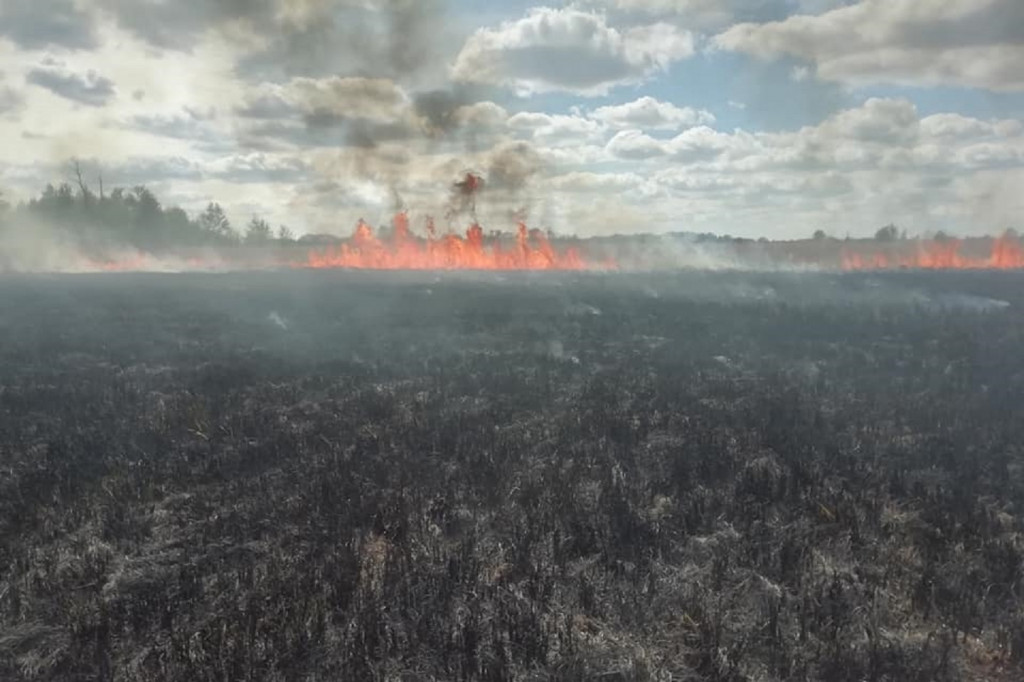 Duży pożar w Famułkach Brochowskich